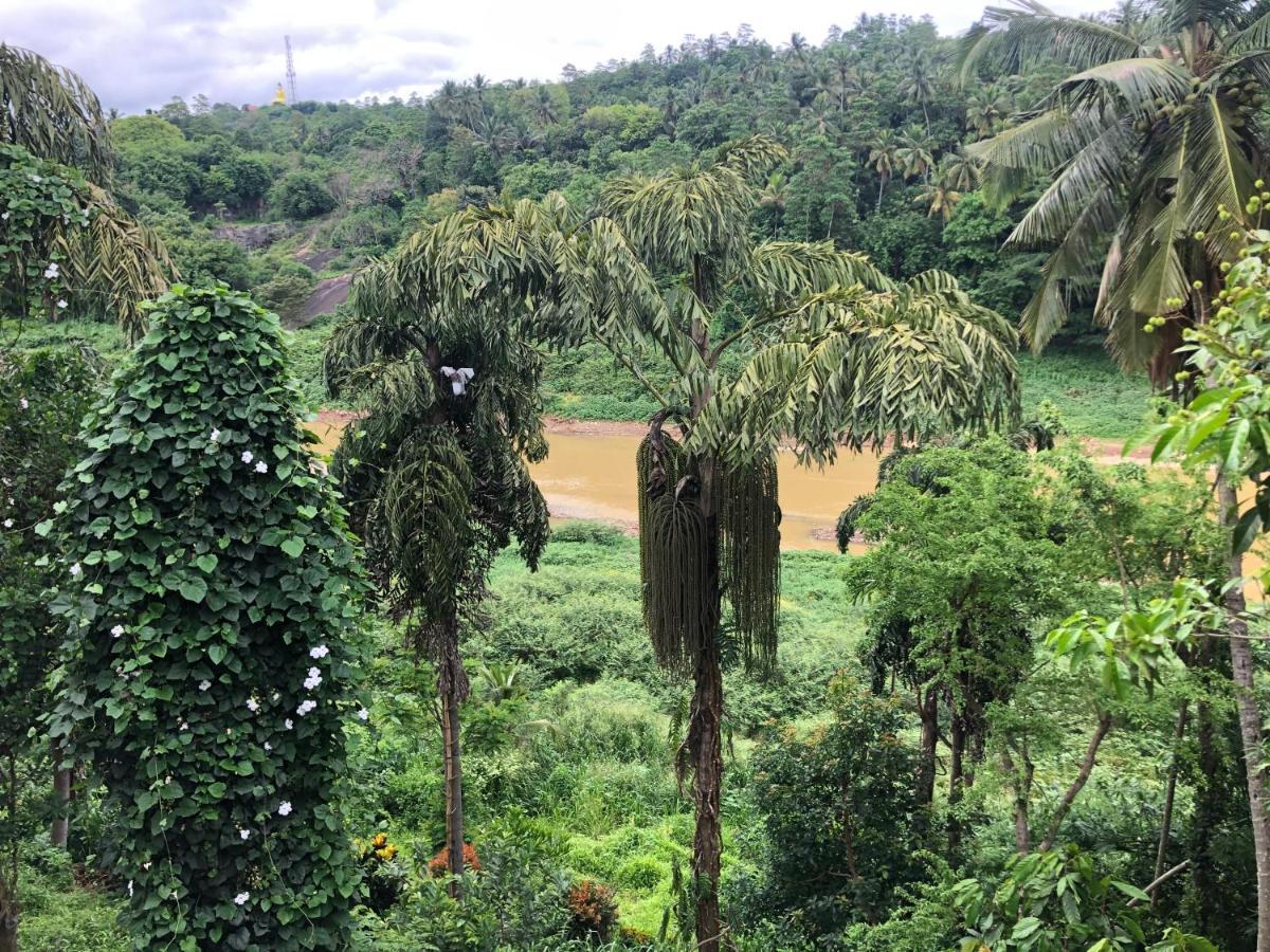 Kandy Rivers Edge Nature Resort Exteriör bild