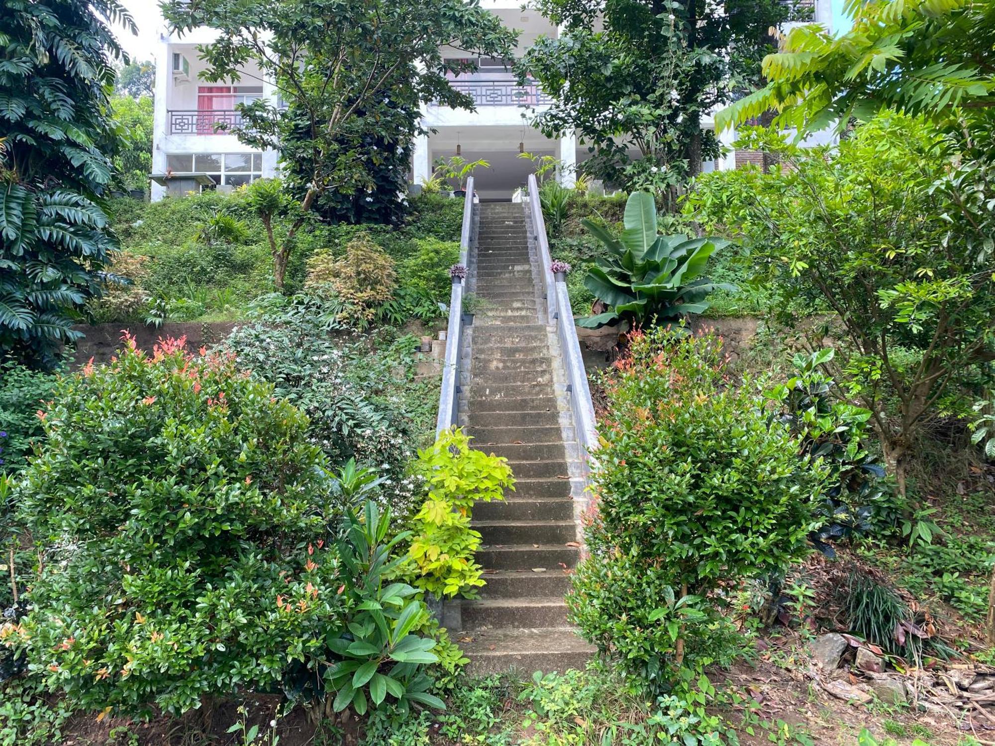 Kandy Rivers Edge Nature Resort Exteriör bild