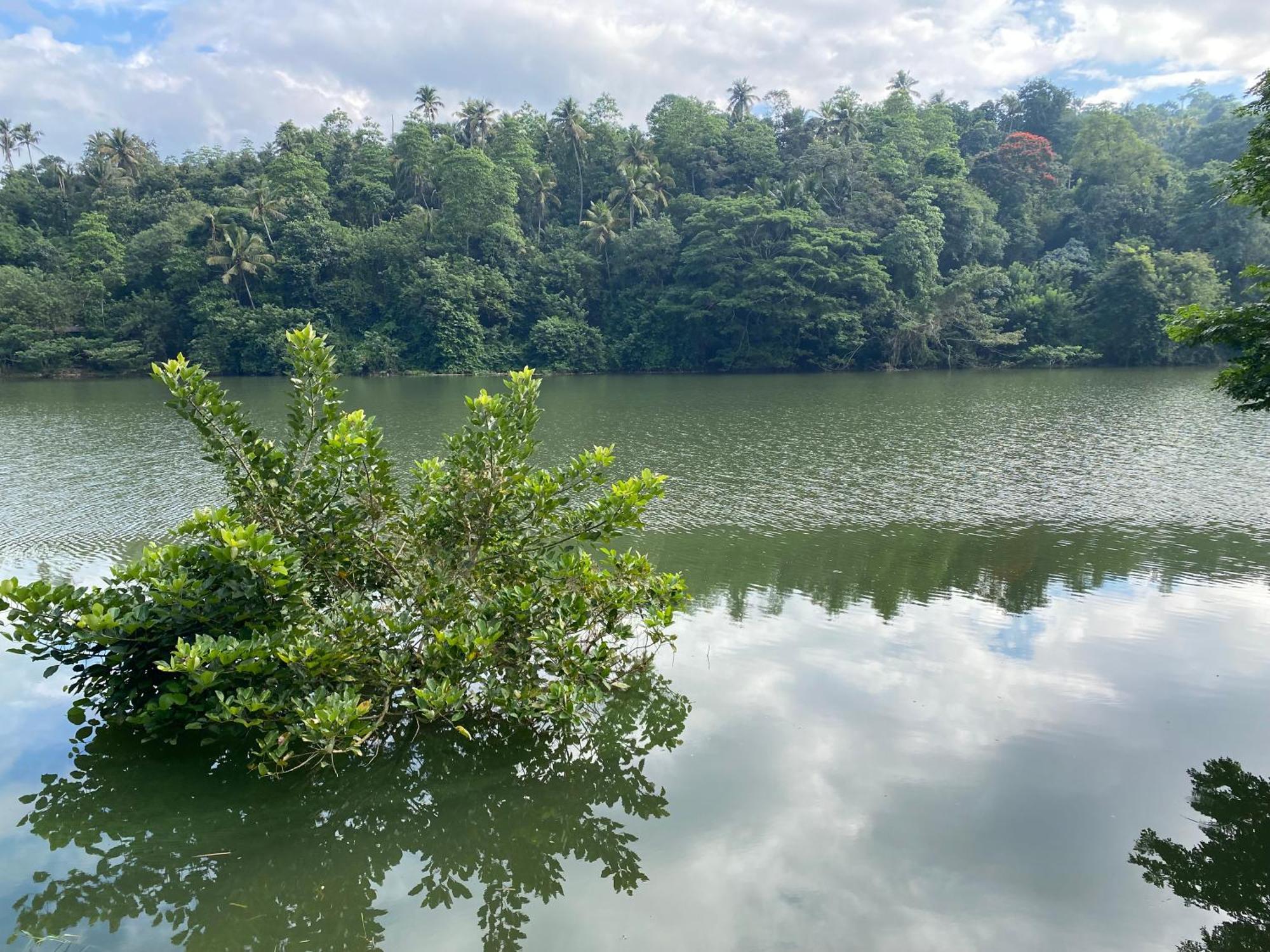 Kandy Rivers Edge Nature Resort Exteriör bild