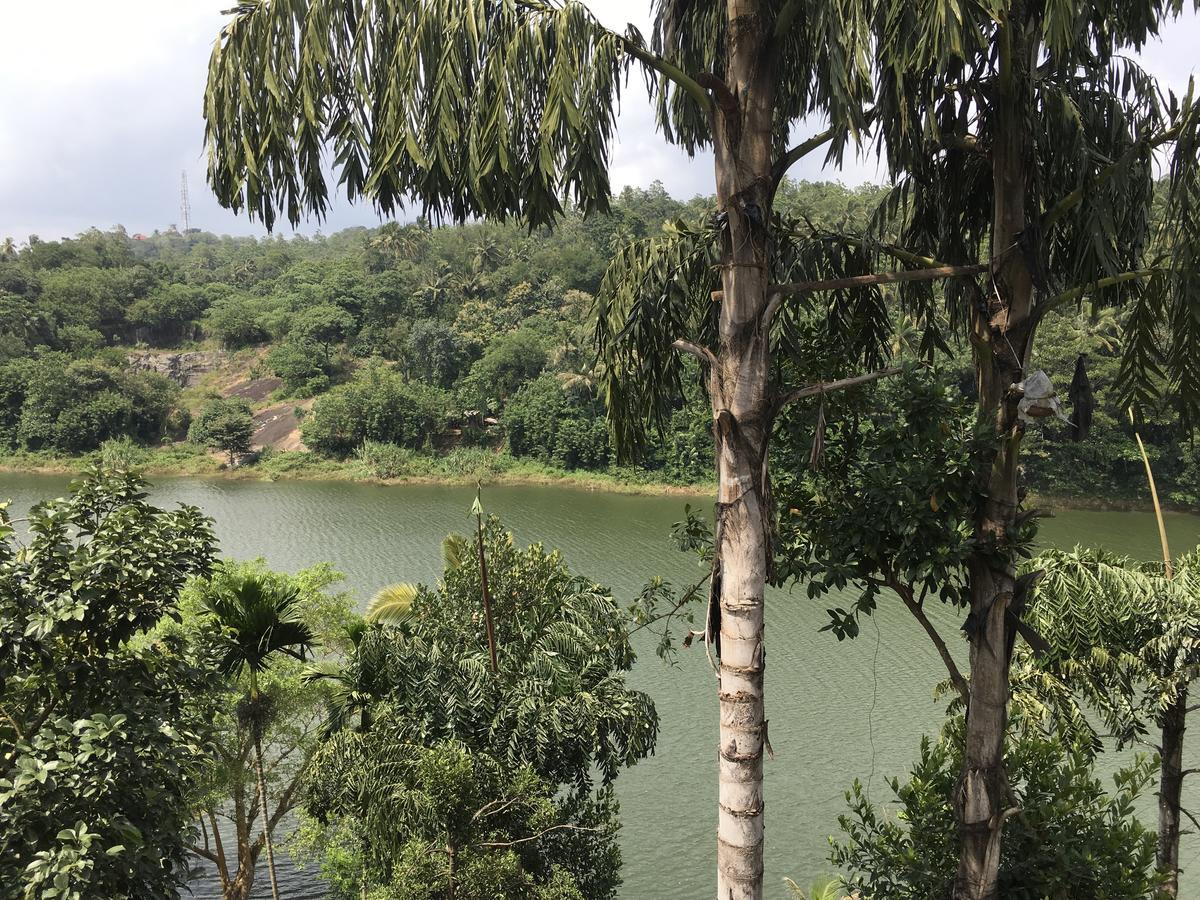 Kandy Rivers Edge Nature Resort Exteriör bild